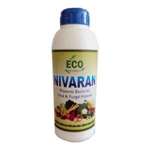 ECO NIVARAN (Bacterial, Viral & Fungal Controller) 100 ML