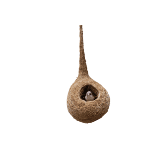 Bird nest made of Lavancha / Vetiver root