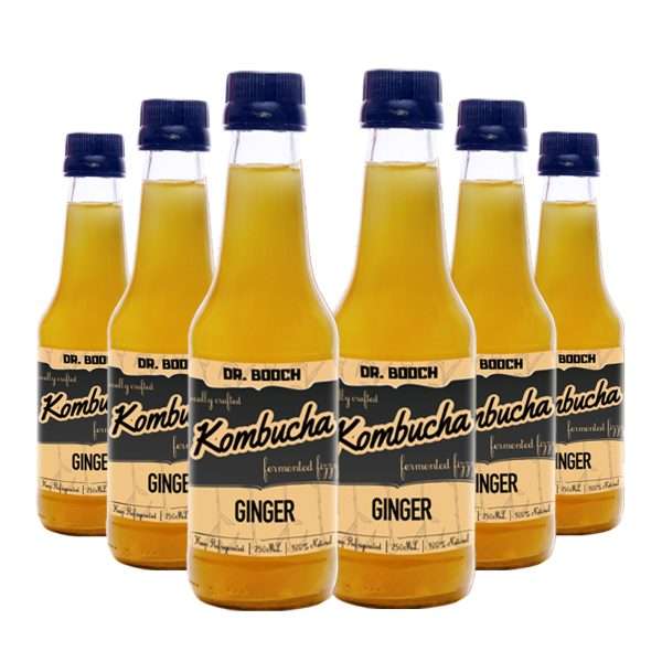 Dr.Booch Ginger Kombucha - Pack Of 6