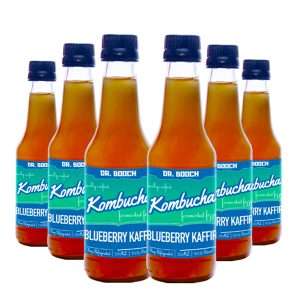 Dr.Booch Blueberry Kaffir Kombucha - Pack Of 6