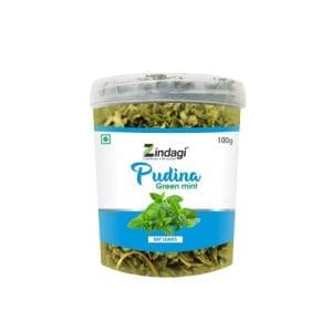 Zindagi Dry Pudina Leaves – Natural Mint Leaf – Pure & Refreshing – Dehydrated Ready To Use For Home & Kitchen (100 Gram)