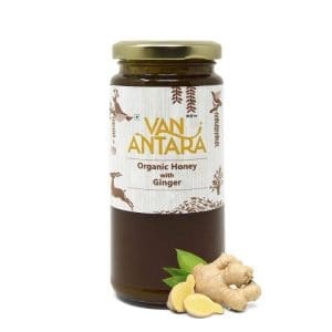 KEJRIWAL Vanantara Organic Honey with Ginger Bottle 325 GMS
