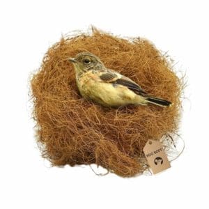 EcoSoft Natural Coconut Fiber Nesting Material for All Birds and Small Animals Sufficient for 4 Bird Nests (Nest Fiber 250 GMS)