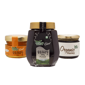 Natural Honey 1KG Bottle (Horeca)